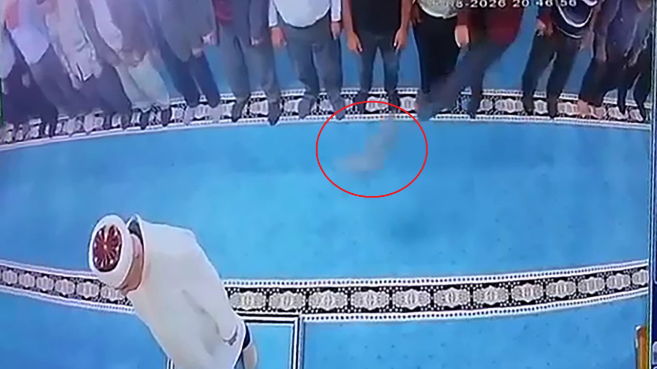 Camide yazıklar olsun dedirten olay