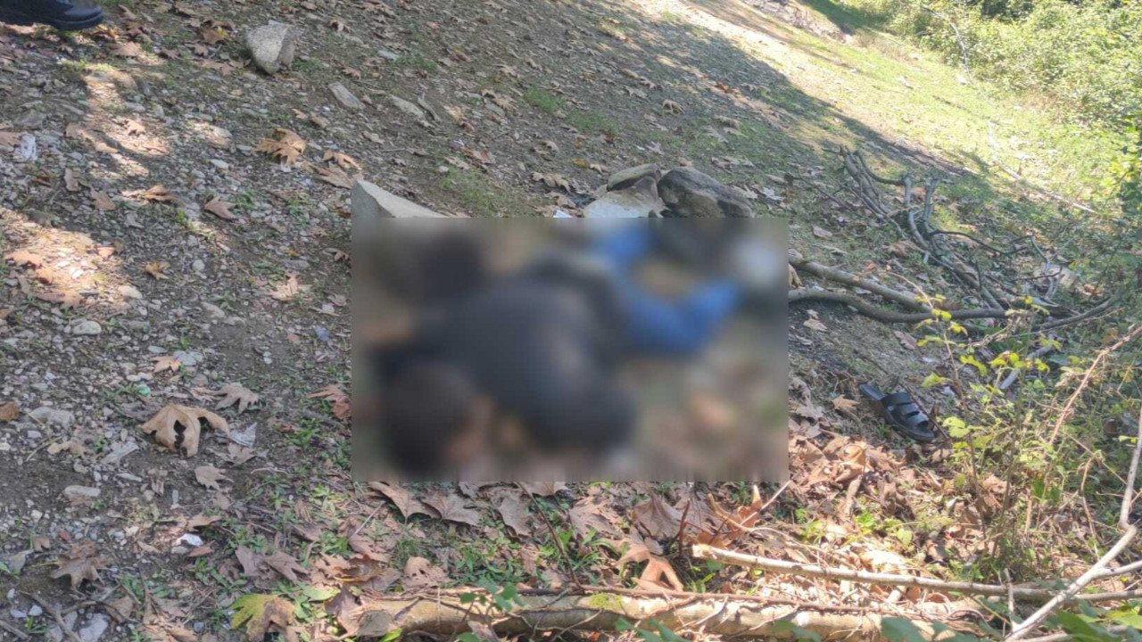 Kastamonu’da dere kenarında erkek cesedi bulundu: 1 şüpheli gözaltında