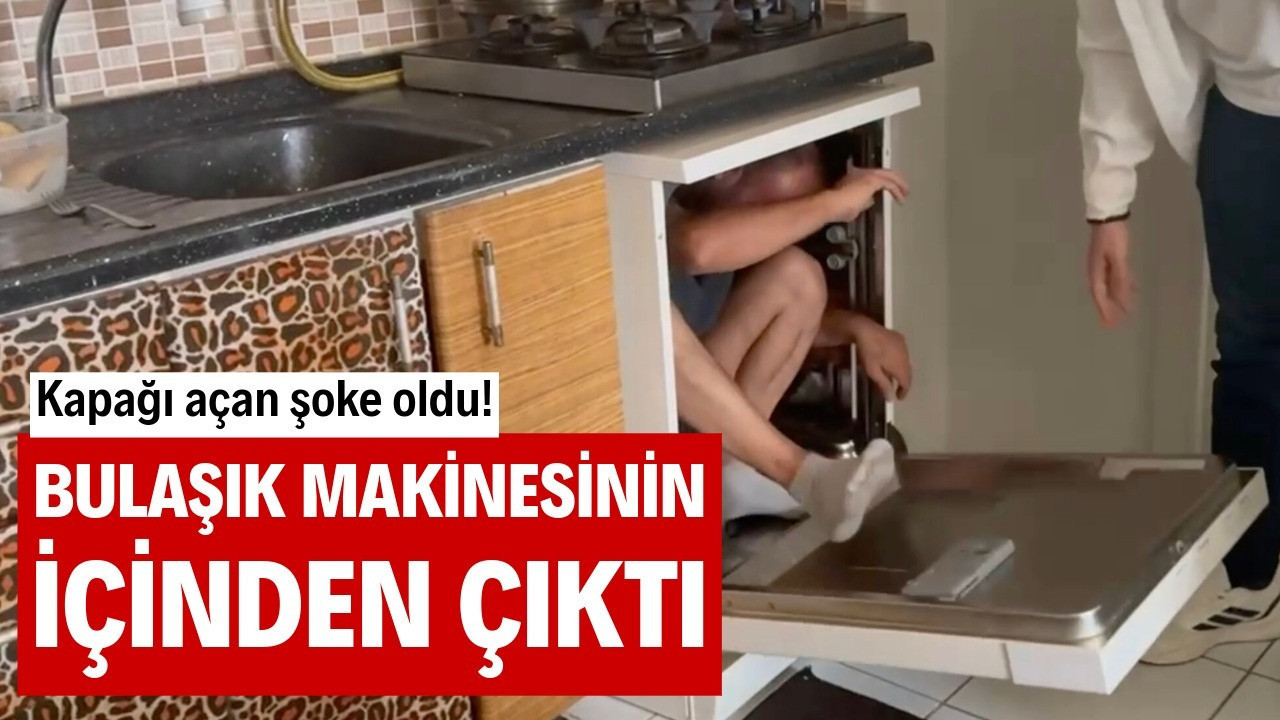Bulaşık makinesinin içinden çıktı: Kapağı açan şoke oldu