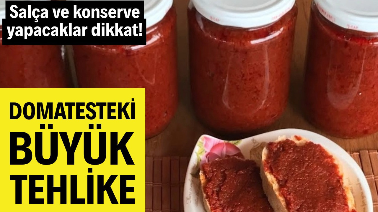 Salça ve konserve yapacaklar dikkat! Domatesteki büyük tehlike