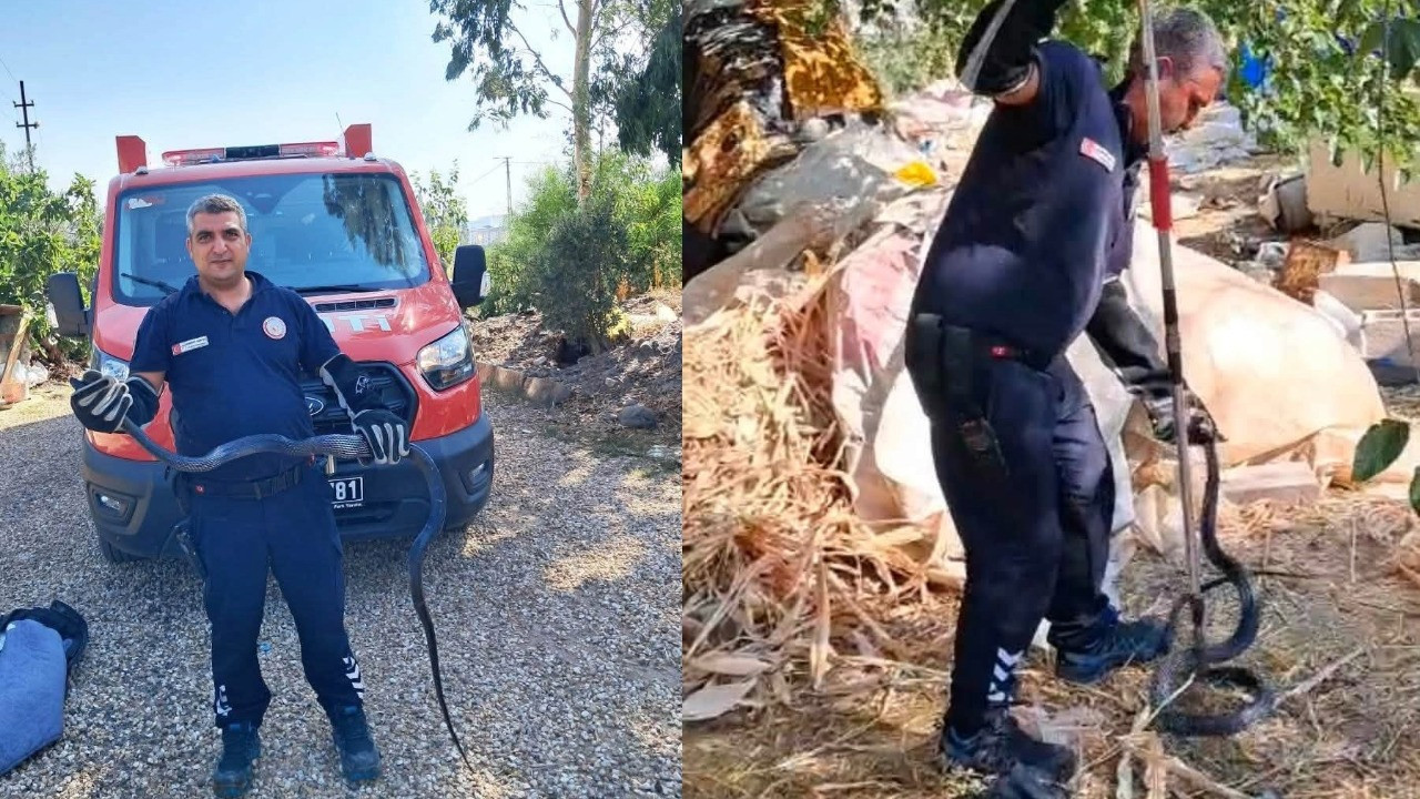 Hatay'da müstakil evde korku dolu anlar: 2 metrelik yılan yakalandı