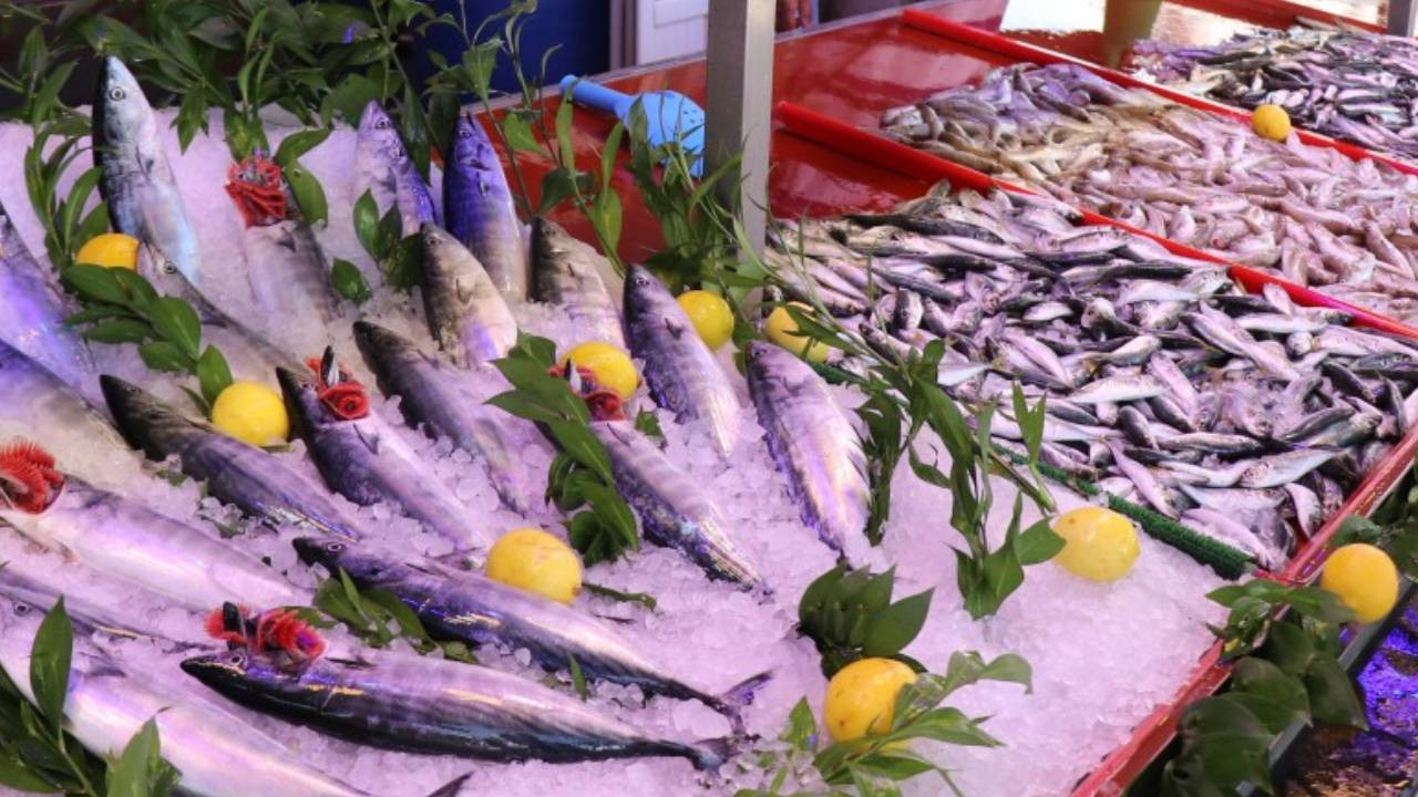 Hamsi ve istavrit de listede. Omega-3 bakımından öne çıkan 5 balık