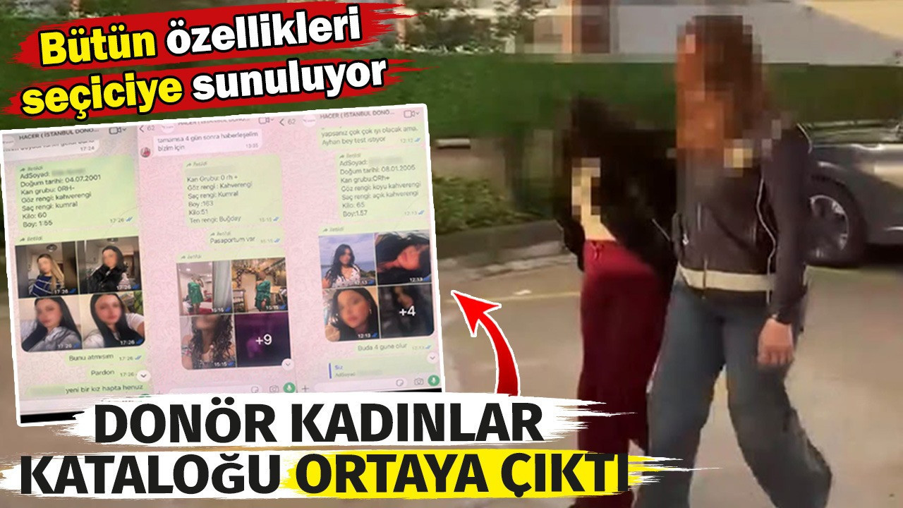 Donör kadınlar kataloğu ortaya çıktı. Özelliklerine göre yumurtasını satın alıyorlar