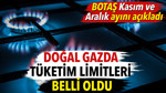 Doğal gaz tüketim limitleri belli oldu. BOTAŞ Kasım ve Aralık ayını açıkladı