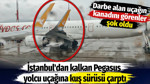İstanbul'dan kalkan Pegasus yolcu uçağına kuş sürüsü çarptı. Darbe alan uçağın kanadını görenler şok oldu