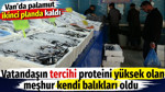 Palamutun papucu dama atıldı. Vanlının tercihi proteini yüksek olan meşhur kendi balıkları oldu
