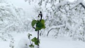 Bu ürünler cep yakacak