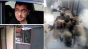 Ankara'da vahşet: Sahiplenme bahanesiyle alıp katlettiği köpeklerin sayısı çok daha fazlaymış