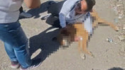Hayvanseverler isyan etti: Ölen köpeği belediyeye bıraktılar