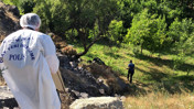 Ağaca asılı ceset bulundu