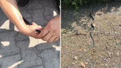 'Zararsız öldürmeyin' dedikten birkaç saniye sonra neye uğradığını şaşırdı