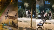 Tekmeler, yumruklar havada uçuştu: Parkta korkutan kavga