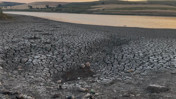 Kuraklığın vurduğu Yeşilsırt Barajı'nda balık ölümleri başladı
