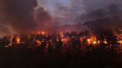 Bursa yanıyor: Sabah 'söndü' denildi ama hızla ilerliyor