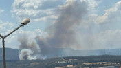 Çanakkale'de orman yangını