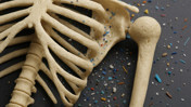 Mikroplastikler kemik sağlığını tehdit ediyor: Osteoporoz riskini artırabilir