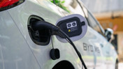Dünyada elektrikli araç satışları artıyor