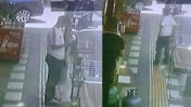 İş yerinin önündeki papağanı çalındılar