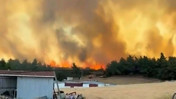 Çanakkale'de orman yangını
