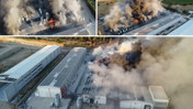 Alevler 8 dönümlük tesisi küle çevirdi! Milyonlarca liralık zarar