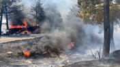 Silifke’de feci kaza: 1 kişi öldü, araçlar alev aldı, yangın ormana sıçradı