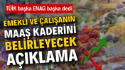 Emekli ve çalışanın maaş kaderini belirleyecek açıklama: TÜİK başka ENAG başka dedi