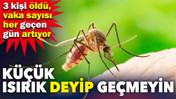 Küçük ısırık diye geçmeyin: 3 kişi öldü, vaka sayısı her geçen gün artıyor
