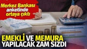 Emekli ve memura yapılacak zam sızdı. Merkez Bankası anketinde ortaya çıktı