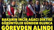 Bakan Yumaklı'nın incir ağacı diktiği görüntüler gündem olunca görevden alındı