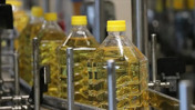 Ne tereyağı ne margarin ne ayçiçek yağı: Yemek pişirmek için en iyi yağ meğer buymuş
