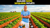 Haaland havuç satışlarını patlattı