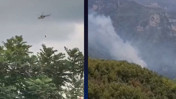 Hatay'da orman yangını