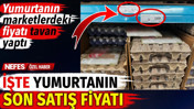 Yumurtanın market fiyatı tavan yaptı. İşte yumurtanın son satış fiyatı
