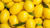 Limonun &uuml;zerindeki etiketteki numara ne anlama geliyor? 9 ile başlıyorsa dikkat