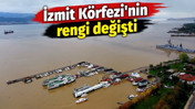 İzmit K&ouml;rfezi&rsquo;nin rengi değişti