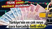 TÜİK yeni verileri açıkladı: Türkiye'nin en çok neye para harcadığı belli oldu!