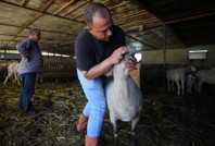 Babasının hediye 15 koyunu ile başladı 400 hayvanlık sürünün sahibi oldu