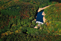 Tarım Bakanı'ndan Belgrad Ormanı açıklaması