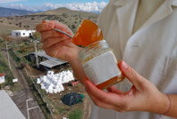 Covid-19'dan kaçtı, kendi işinin patronu oldu