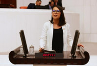 AKP'li vekile 'şerefsiz' diye bağıran Sera Kadıgil'e kınama cezası