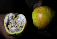 Esad'ın uyuşturucu merkezi ifşa oldu