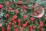 Fiyatı 300 lirayı aştı: İnsanlar yılbaşı öncesi neden kokina alıyor?