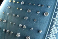 Yunanistan'ın iade ettiği bin 55 sikke Türkiye'ye geldi