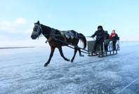 Çıldır'ın atlı kızakçılarından "buz safari"