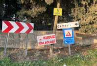 Hatay'da bir mahalleye kuduz karantinası