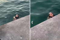 Denize düşen adamla sahildeki kadın arasında geçen diyalog: 'Allah tutuyor bacım'