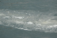 Marmara Denizi'ni kurtarabilir miyiz? Uzman isim yanıtladı