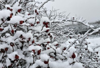 Meteoroloji’den Trakya için kritik uyarı: Kar ve yağmur geliyor