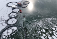 Antarktika değil Erzincan: Buzların arasından çıkarıyorlar