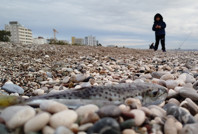 Siyanürden daha tehlikeli... Şimdi de sahile çıktı